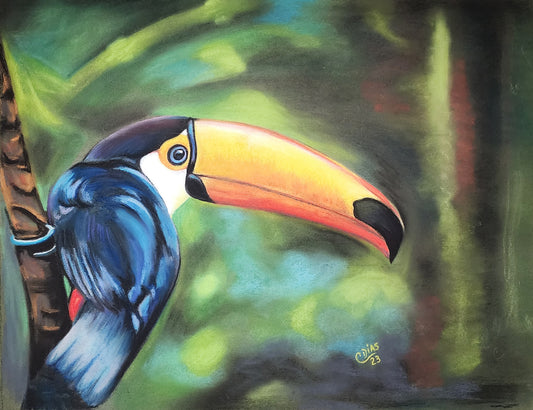 Tucano