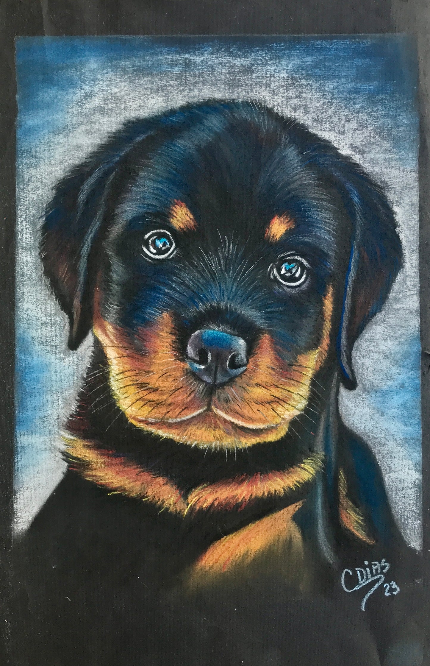 Filhote de Rottweiler