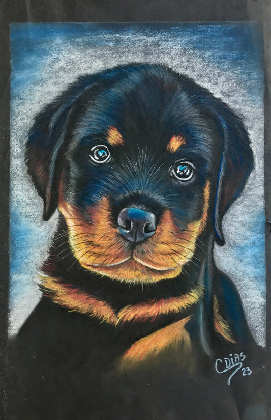 Filhote de Rottweiler