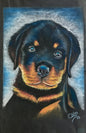 Filhote de Rottweiler