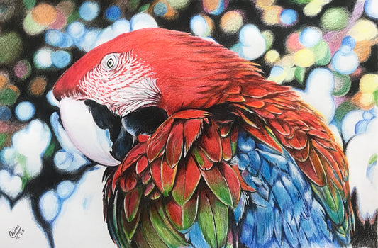 Para quem não aceita o comum nem na arte.