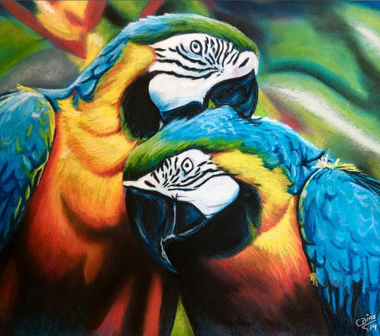 Casal de Araras