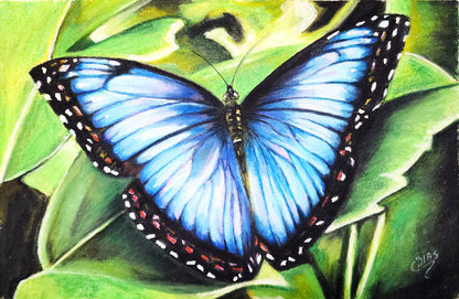 Renascimento Azul - A arte da transformação