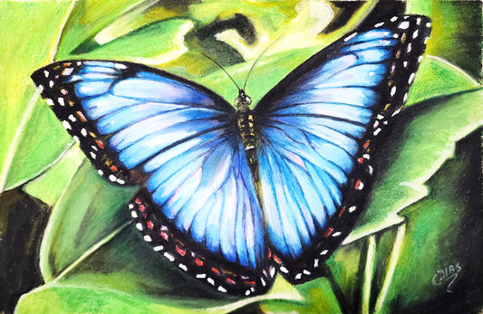 Renascimento Azul - A arte da transformação