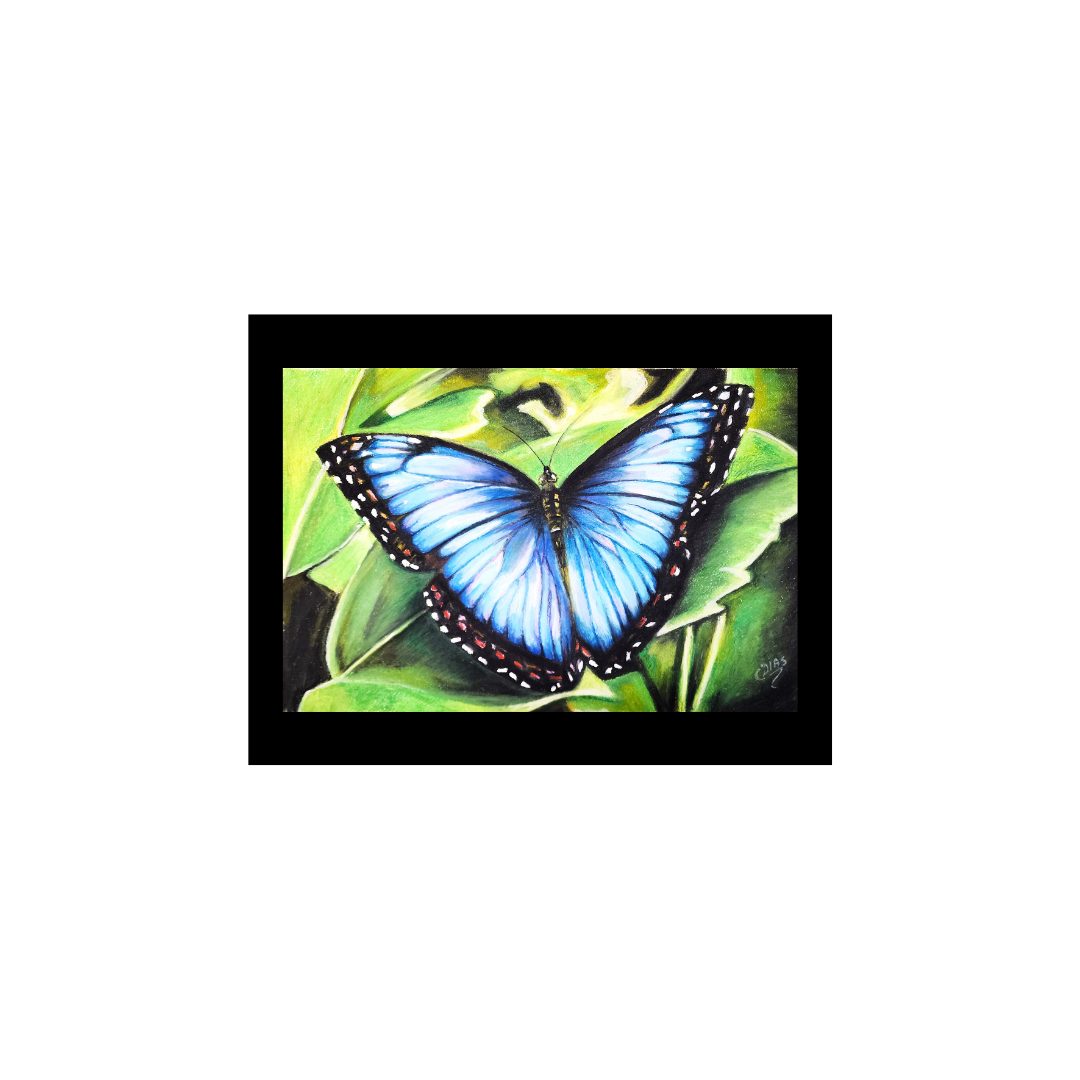 Renascimento Azul - A arte da transformação
