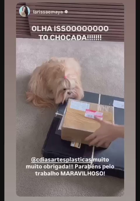 Carregar vídeo: 